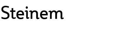 Steinem Roman.ttf