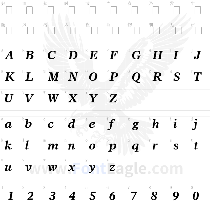 Sterling-SSi-Bold-Italic