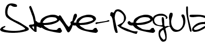SteveHandwriting Regular.ttf