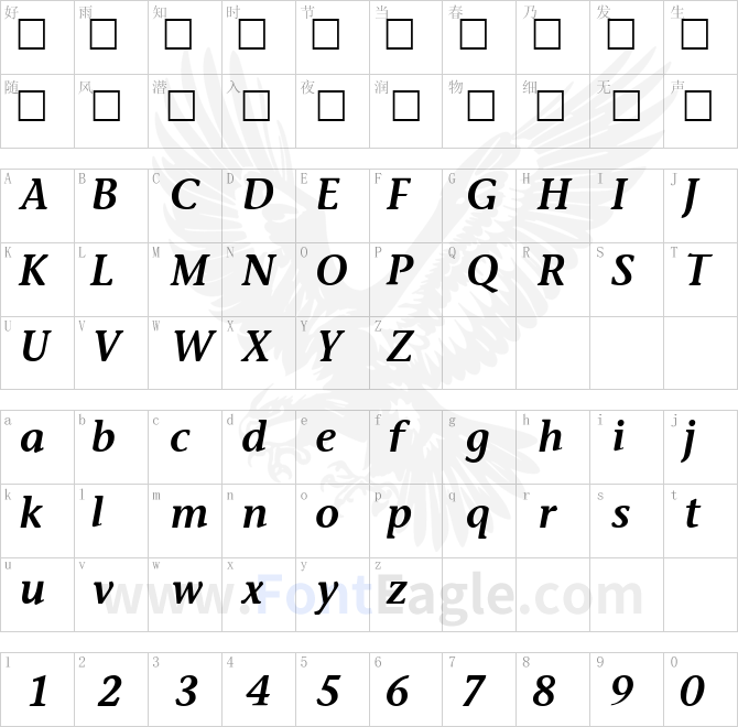 Stone-Informal-Semi-Bold-Italic