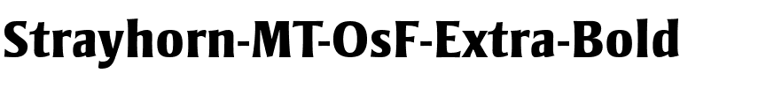 Strayhorn MT OsF Extra Bold Regular.ttf