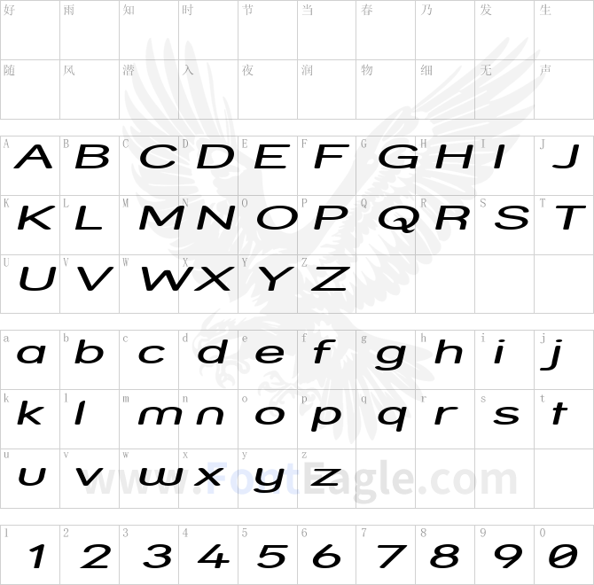 Street-Expanded-Italic