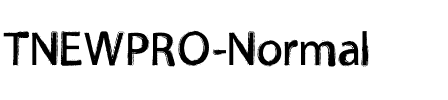 TNEWPRO Normal.ttf