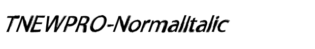TNEWPRO NormalItalic.ttf