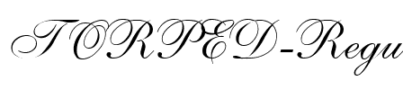 TORPED Regular.ttf