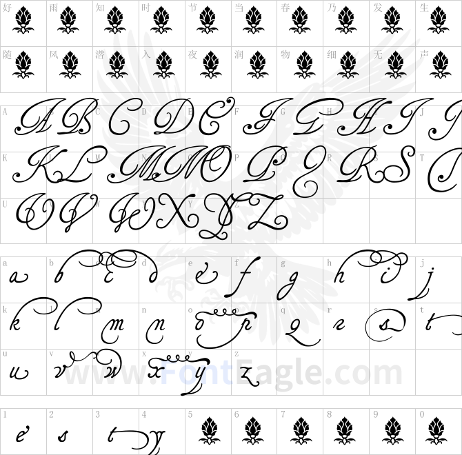 TagettesPlus-copy-1-