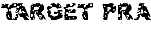 Target Practice Regular.ttf