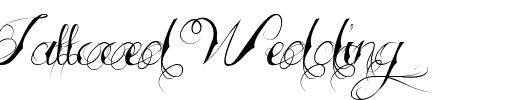 Tattooed Wedding Regular.ttf