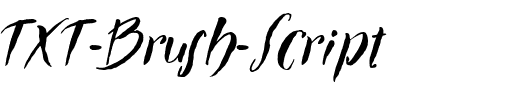 TXT Brush Script Regular.ttf