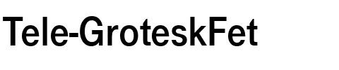 Tele-GroteskFet Regular.ttf