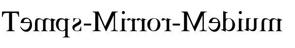 Temps-Mirror Medium.ttf