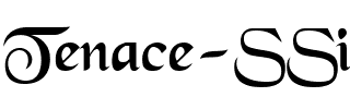 Tenace SSi Regular.ttf