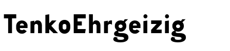 Tenko Regular.ttf