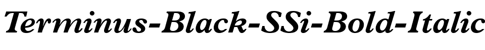 Terminus Black SSi Bold Italic.ttf