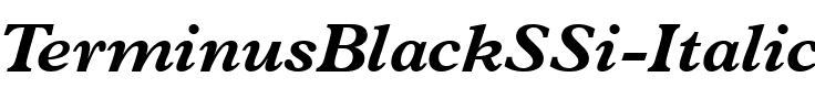 TerminusBlackSSi Italic.ttf
