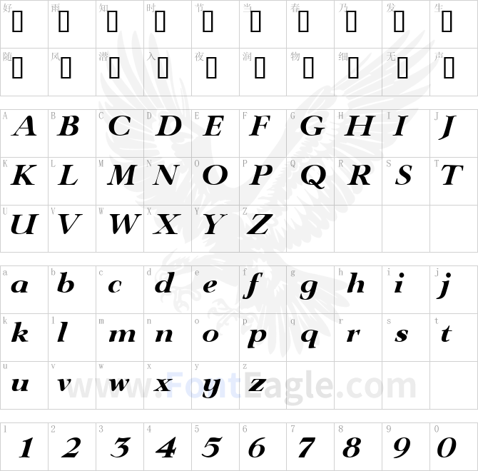 TeronoDisplaySSi-Italic