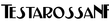 TestarossaNF Regular.ttf