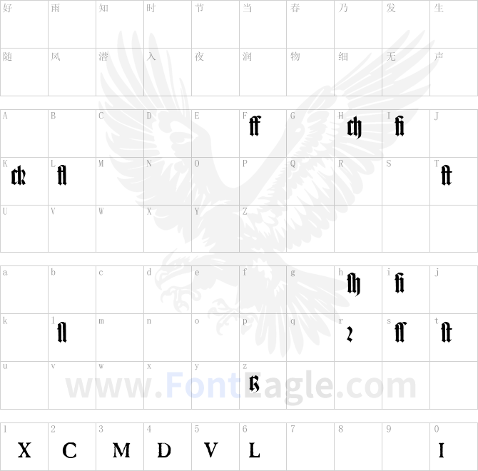 TexturGotisch-LT-Expert-DFR