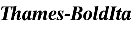 Thames-BoldIta Regular.ttf
