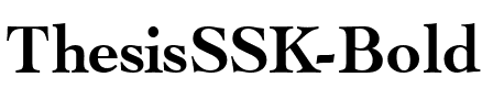 ThesisSSK Bold.ttf
