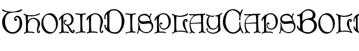 ThorinDisplayCaps Bold.ttf