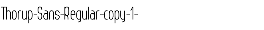 Thorup Sans Regular Regular.ttf