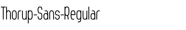 Thorup Sans Regular Regular.ttf