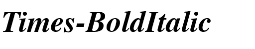 Times-BoldItalic Regular.ttf