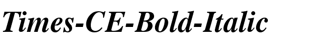 Times CE Bold Italic.ttf