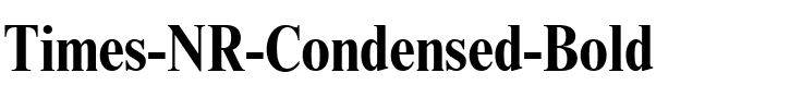Times NR Condensed Bold.ttf