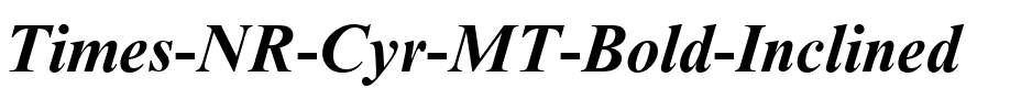 Times NR Cyr MT Bold Inclined.ttf