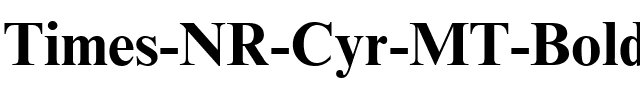 Times NR Cyr MT Bold.ttf