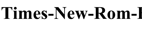 Times New Rom B Regular.ttf
