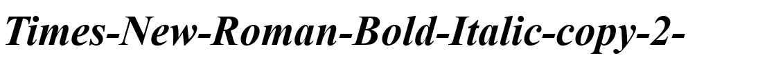 Times New Roman Gras Italique.ttf