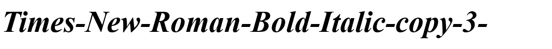 Times New Roman Gras Italique.ttf