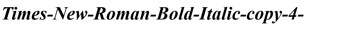 Times New Roman Gras Italique.ttf