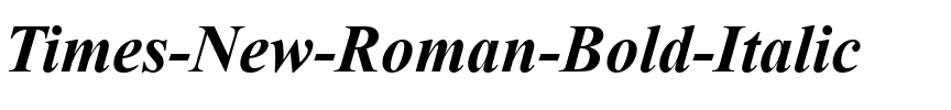 Times New Roman Gras Italique.ttf