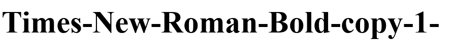 Times New Roman Gras.ttf