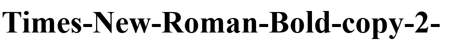 Times New Roman Bold.ttf