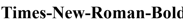 Times New Roman Gras.ttf