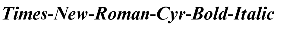 Times New Roman Cyr Pogrubiona kursywa.ttf