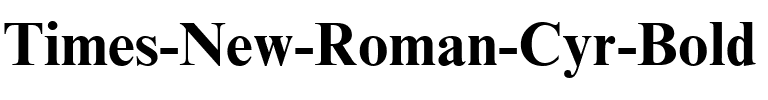 Times New Roman Cyr Pogrubiony.ttf
