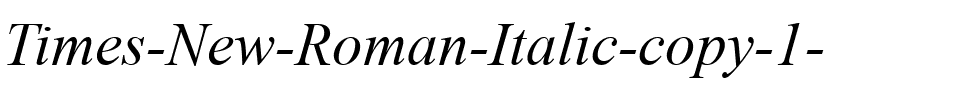Times New Roman Italique.ttf