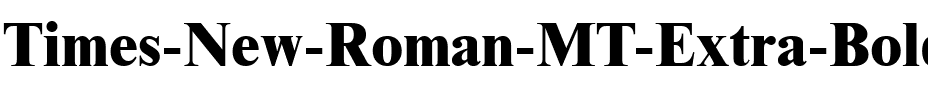 Times New Roman MT Extra Bold Regular.ttf