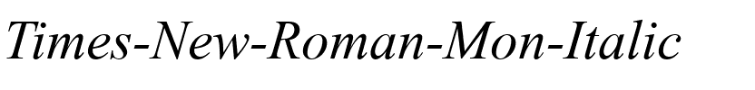 Times New Roman Mon Italic.ttf