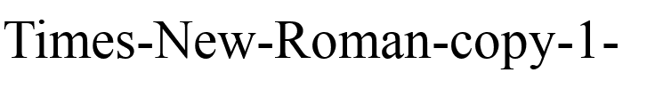 Times New Roman Normal.ttf