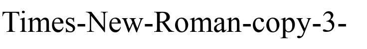 Times New Roman Normal.ttf