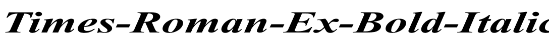 Times Roman Ex bold italic Bold Italic.ttf