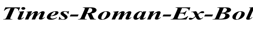 Times Roman Ex bold italic Bold Italic.ttf