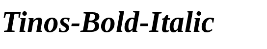 Tinos Bold Italic.ttf